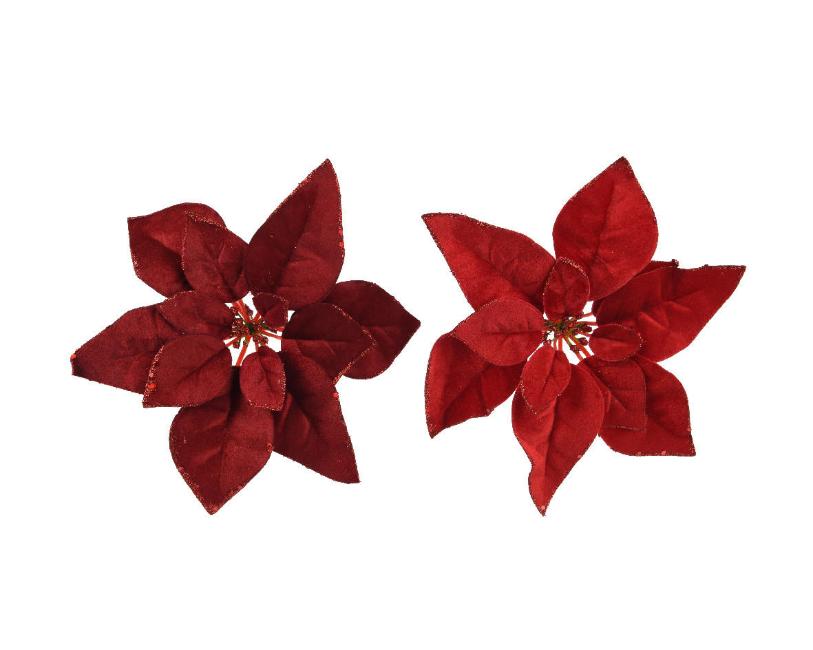 WEIHNACHTSSTERN - (28/5cm)