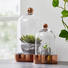 DEKOGLOCKE - Transparent/Kupferfarben, Trend, Glas (18/30cm) DEKOGLOCKE - Transparent/Kupferfarben, Trend, Glas (18/30cm)