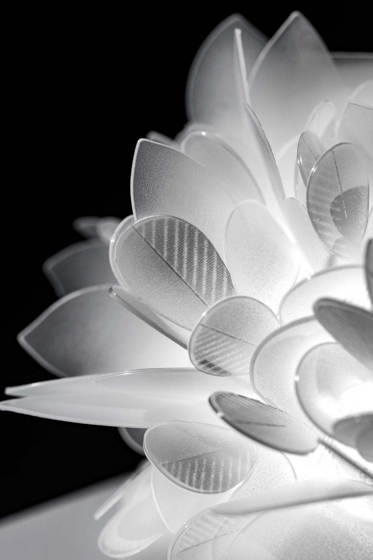 DECKENLEUCHTE VELI FOLIAGE 54/16 cm   - Weiß, Design, Kunststoff (54/16cm) - Slamp
