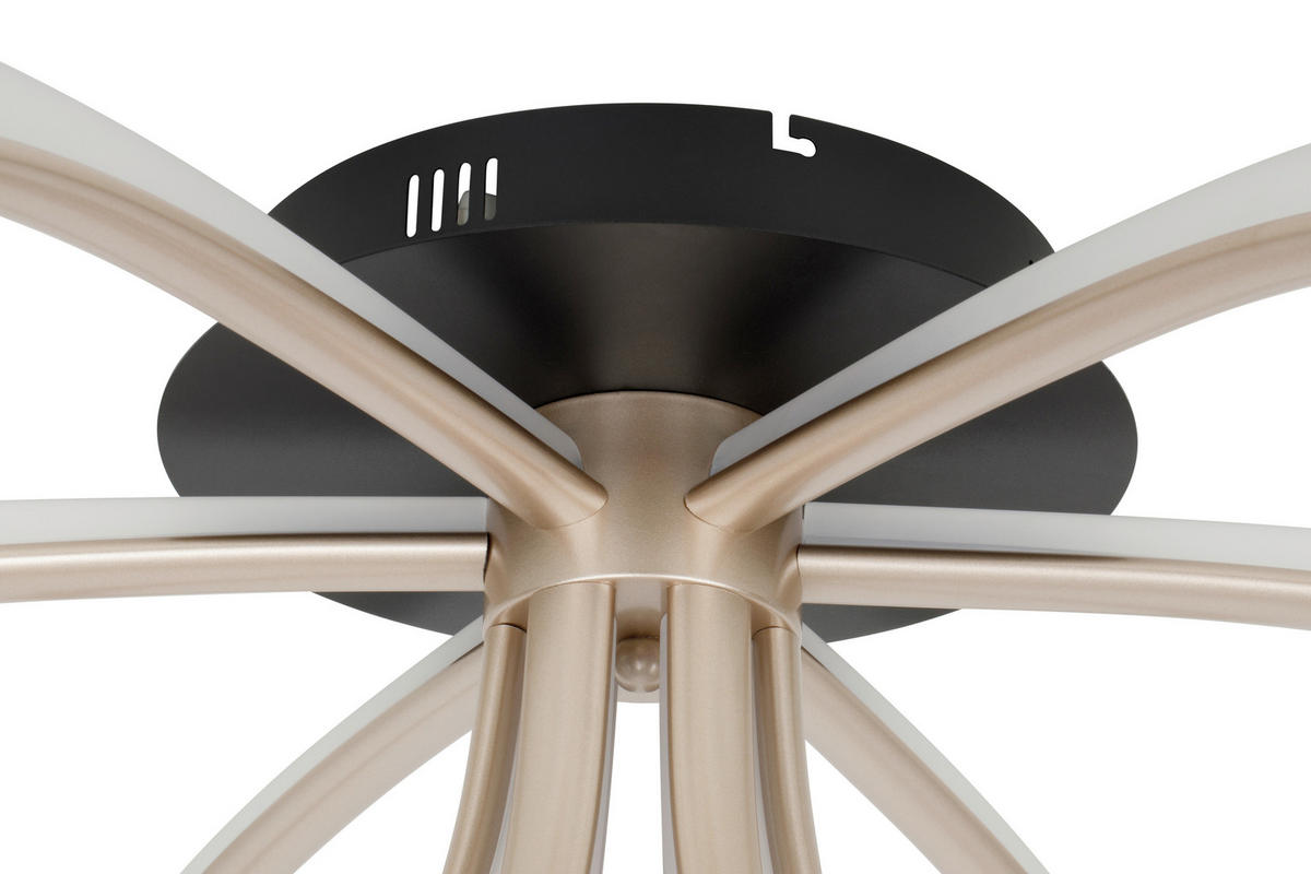 LED-DECKENLEUCHTE Gospic 82/32 cm  - Champagner/Schwarz, Design, Kunststoff/Metall (82/32cm) - Dieter Knoll