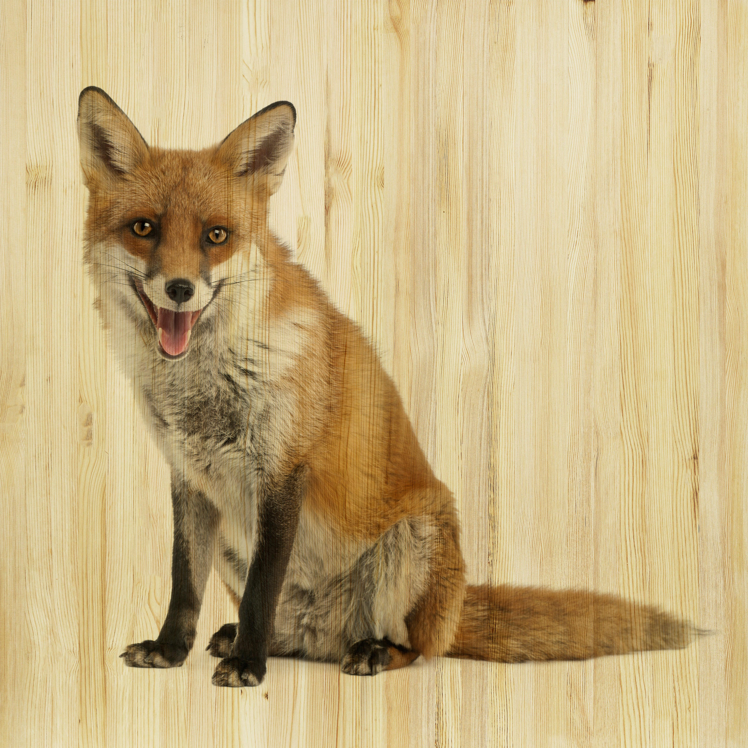 XXXLutz Babywanddeko Felix Fuchs Mehrfarbig 40x40x3 cm