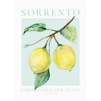 POSTER 50/70 cm  - Multicolor, Natur, Papier (50/70cm) - Reinders!