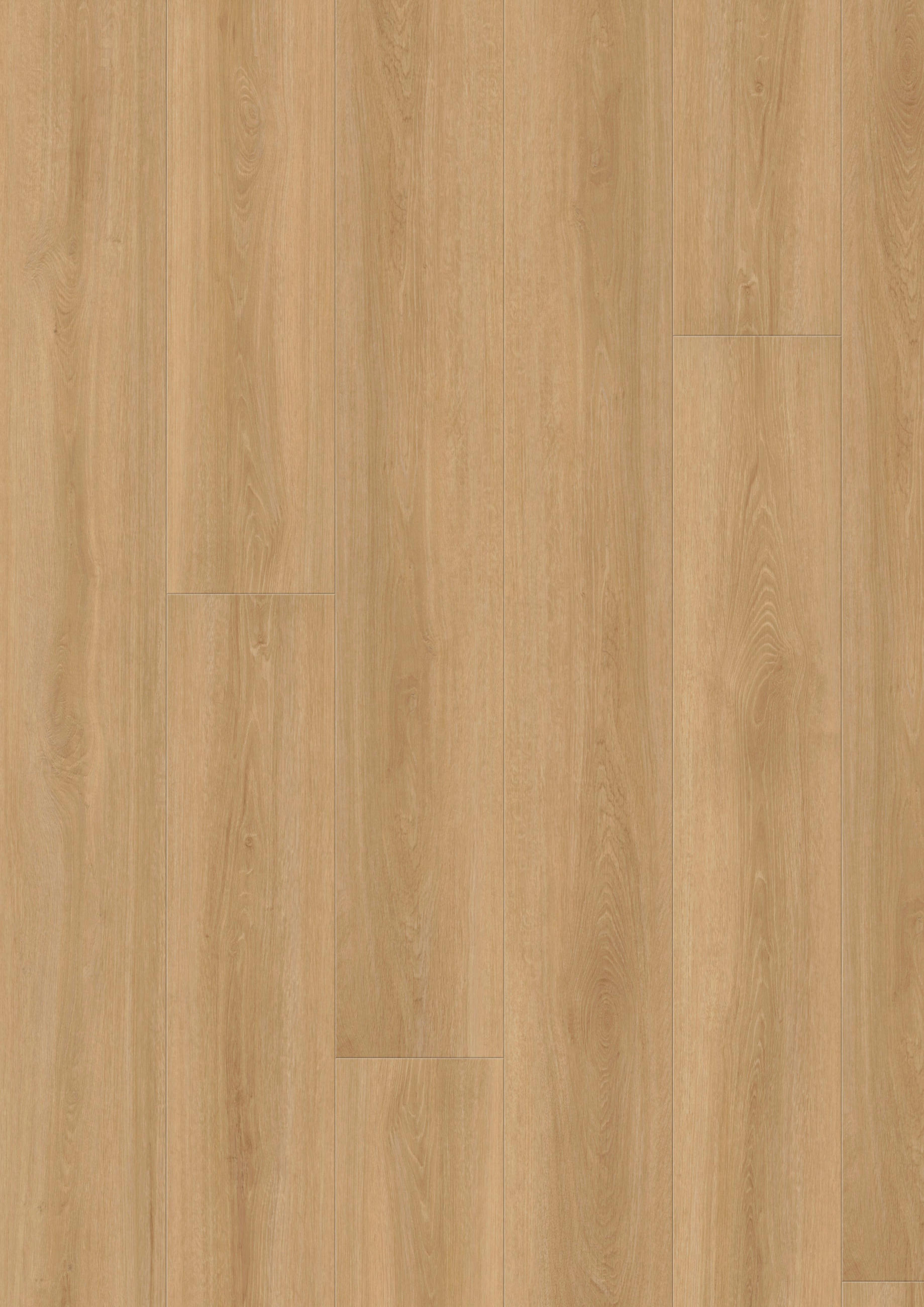 VINYLBODEN EICHE SAHARA 100058401  - KONVENTIONELL, Holz (220/21,6/1cm) - Tilo