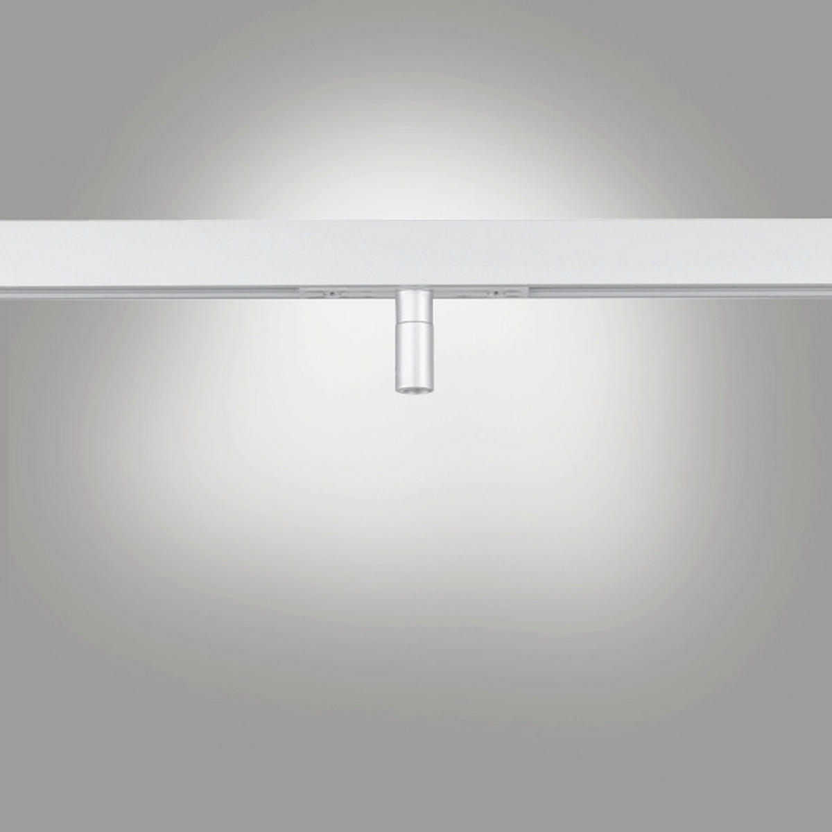 SCHIENENSYSTEM-ADAPTER m6 HV Track 6  - Nickelfarben, Basics, Metall (1,4/7,5cm) - Fischer & Honsel