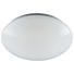 LED STROPNÍ SVÍTIDLO - bílá, Basics, umělá hmota (30/8,5cm) - BOXXX