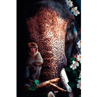 BILD Tiere  - Multicolor, Basics, Kunststoff/Metall (98/148/10cm) - Wandkraft
