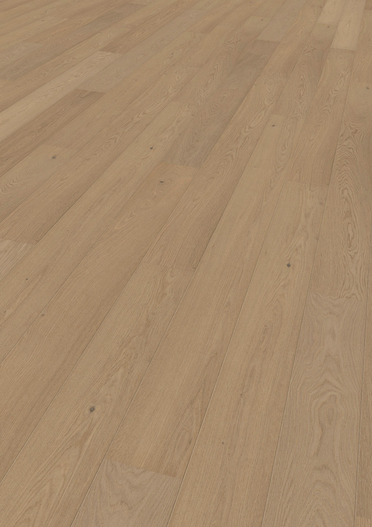 LANDHAUSDIELE Puristico Trend Eiche Crema!Pur 100013301  per  m² - Design, Holz (220,5/17,6/1,3cm) - Tilo
