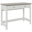 SCHREIBTISCH  in Grau, Weiß  - Silberfarben/Weiß, LIFESTYLE, Holzwerkstoff/Metall (104,3/50/78cm) - Hom`in