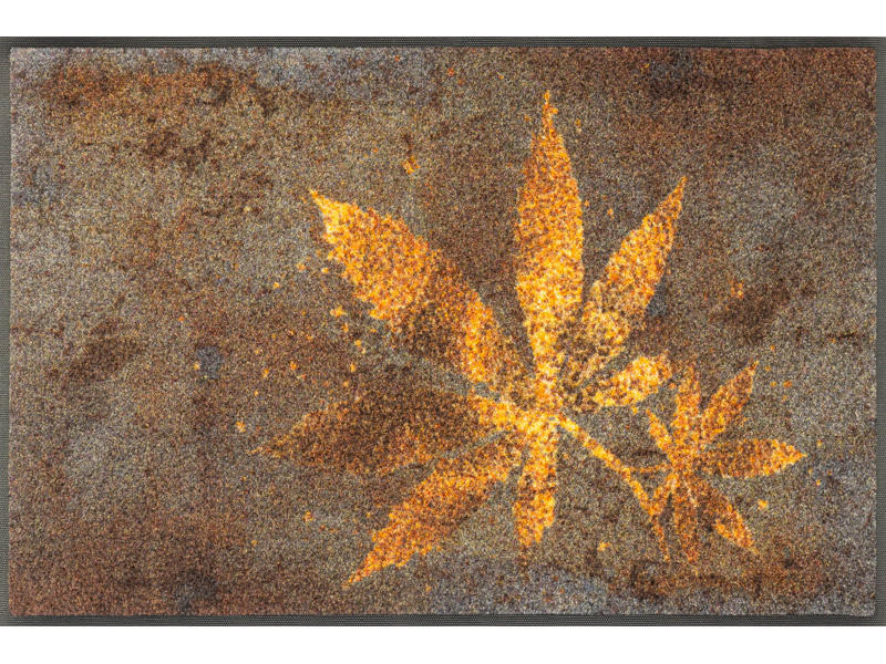 FUßMATTE  50/75 cm  Multicolor  - Multicolor, Design, Kunststoff/Textil (50/75cm) - wash+dry