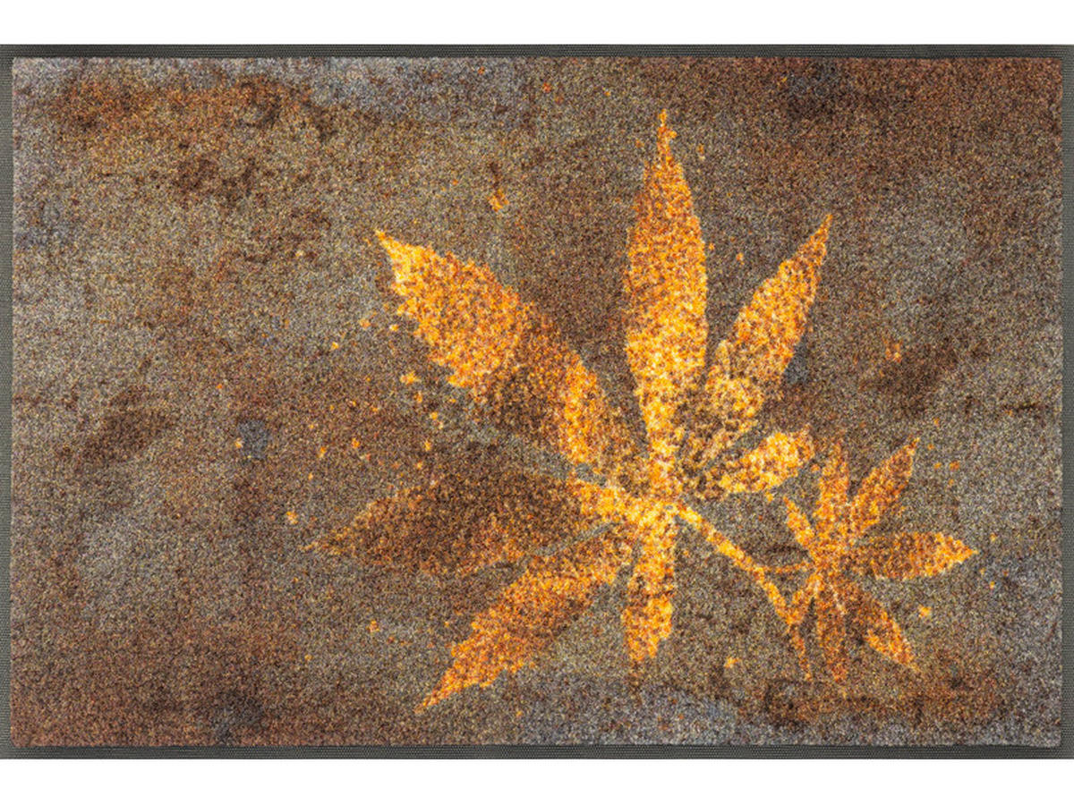 FUßMATTE 50/75 cm wash+dry  - Multicolor, Design, Kunststoff/Textil (50/75cm) - wash+dry