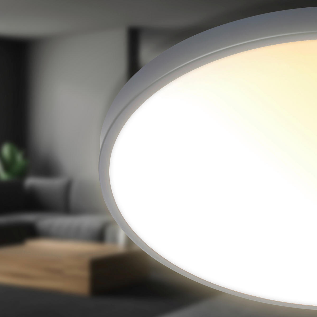 LED PLAFONJERA COMPETO  - antracit, Osnovno, metal/plastika (38/6,5cm)