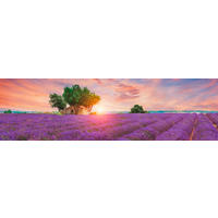 ACRYLGLASBILD Landschaft & Natur  - Multicolor, Basics, Kunststoff (50/180/1,70cm) - Euroart