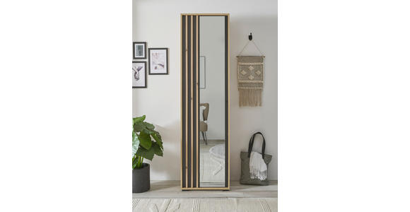 GARDEROBENSCHRANK 57/195/38 cm - Schwarz/Eiche Artisan, Design, Glas/Holzwerkstoff (57/195/38cm) - Carryhome
