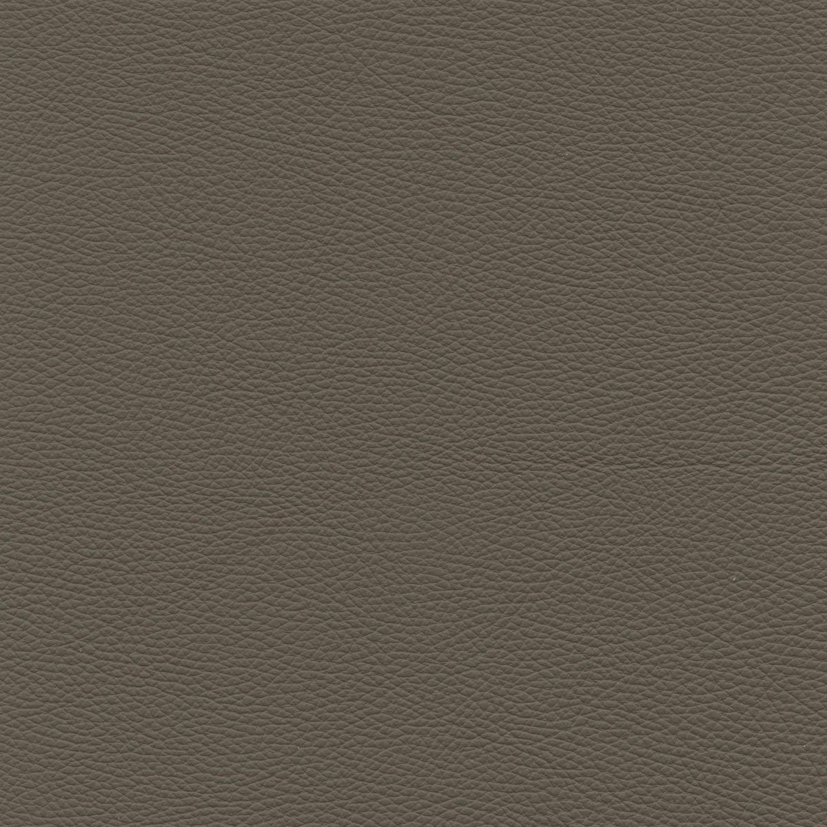 2,5-SITZER in Leder Taupe  - Taupe/Schwarz, Design, Leder/Metall (195/90/109cm)