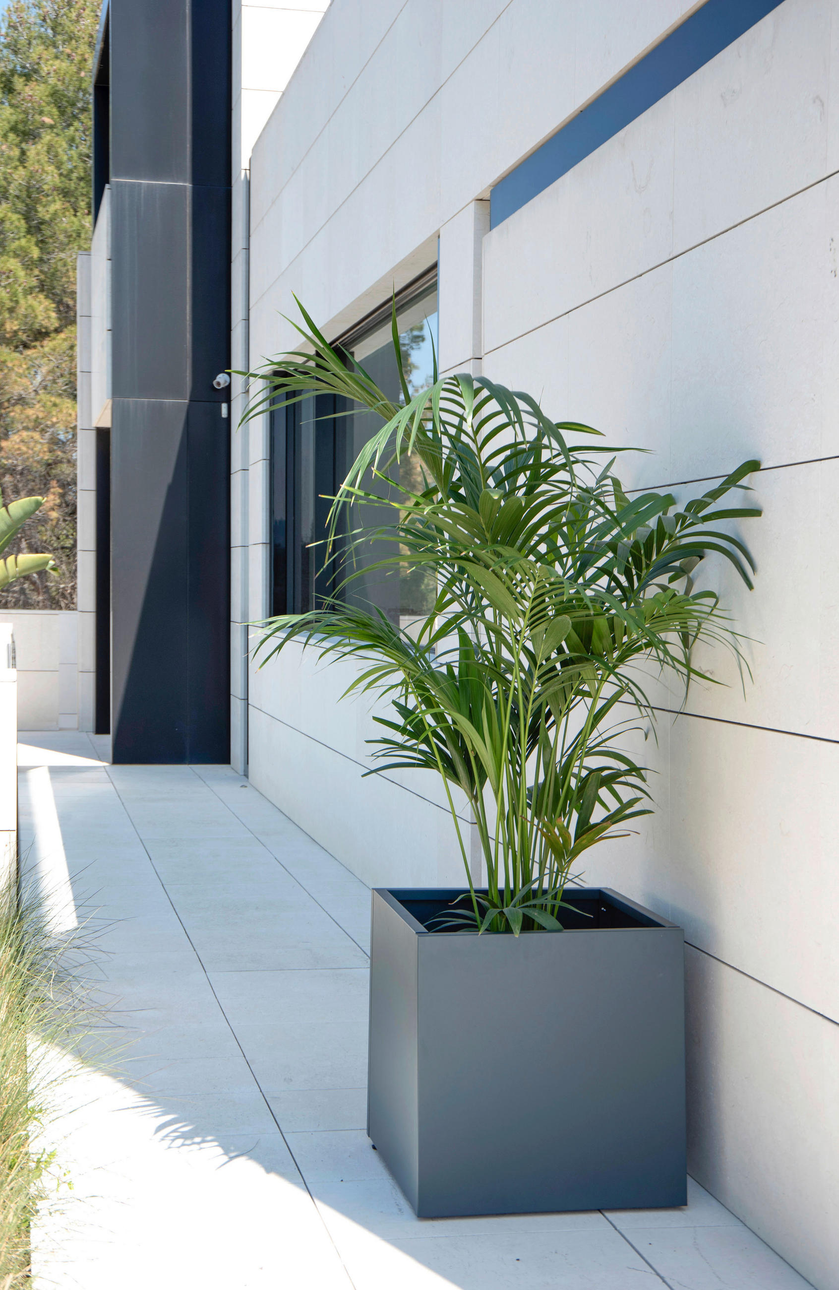 PFLANZENTOPF   - Anthrazit, Basics, Metall (70/70/70cm) - Ambia Garden