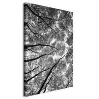 MALBA NA PLÁTNĚ, Landschaft und Natur, stromy, 40/60/1,2 cm - bílá/černá, Basics, kompozitní dřevo/textil (40/60/1,2cm) - artgeist