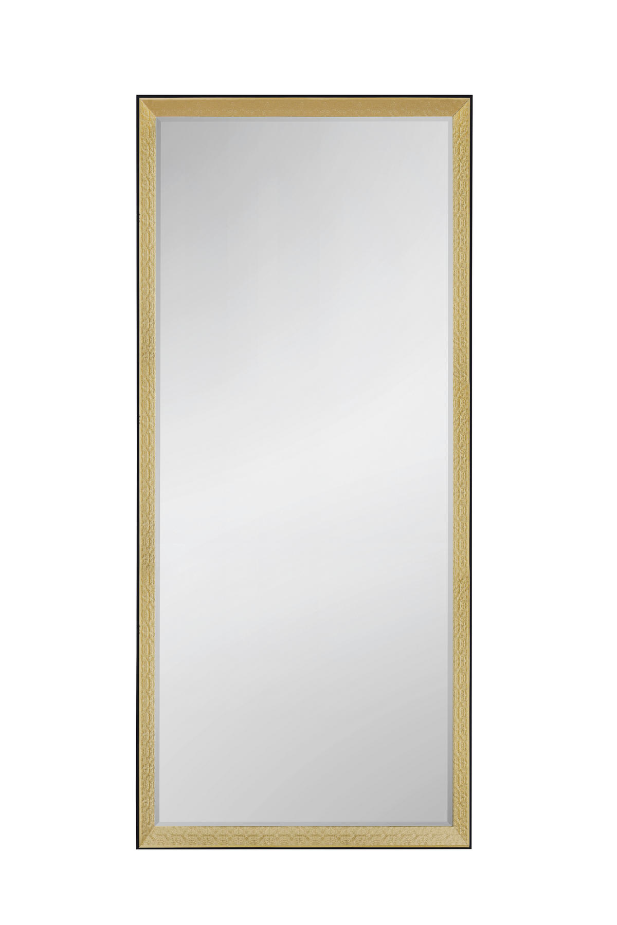 STENSKO OGLEDALO, 70/170/4,5 cm steklo  - zlate barve/črna, Konvencionalno, umetna masa/steklo (70/170/4,5cm) - MID.YOU