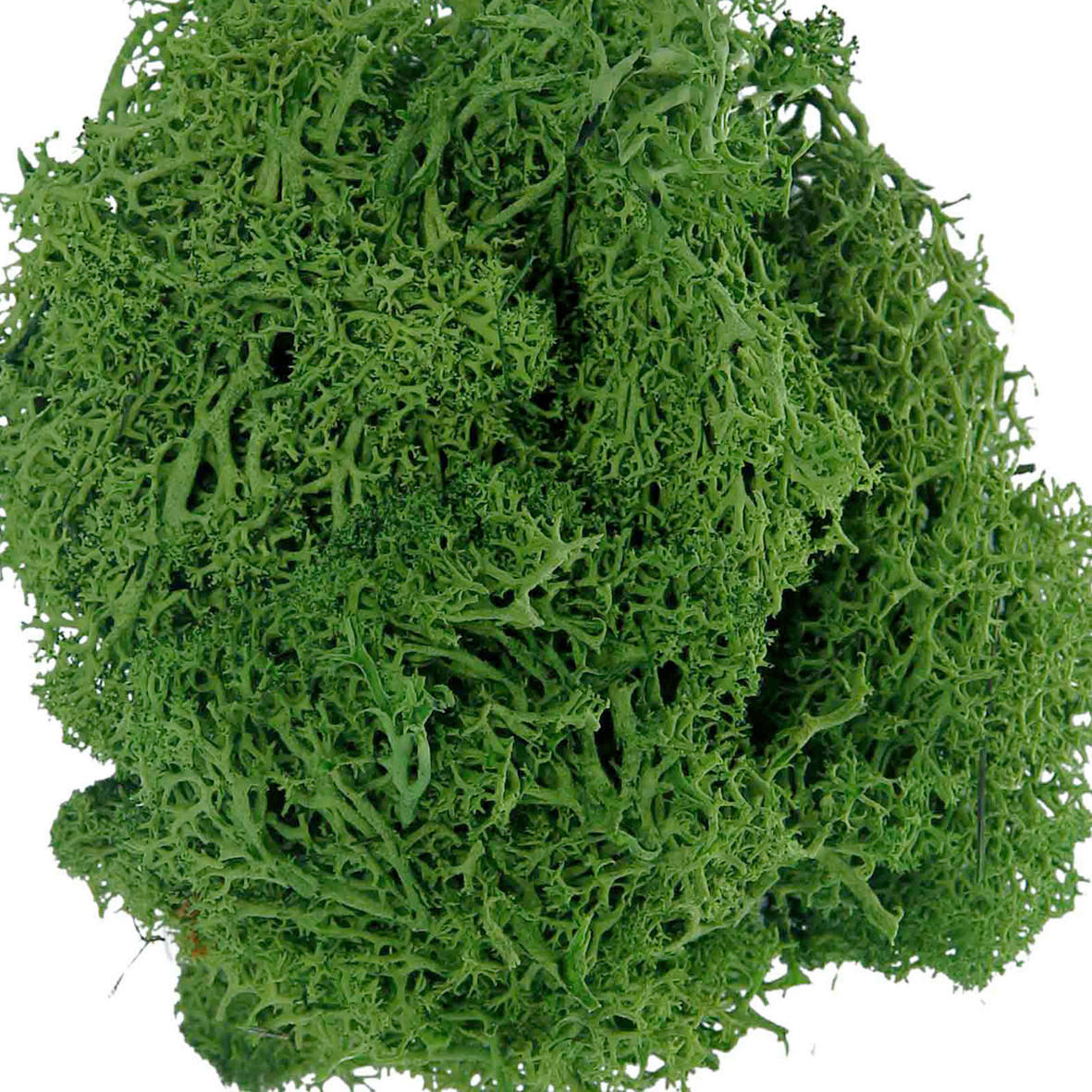 DEKOMOOS - Grün, Basics, Naturmaterialien (0,020kg) - Ambia Home