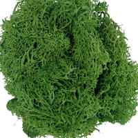 DEKOMOOS - Grün, Basics, Naturmaterialien (0,020kg) - Ambia Home