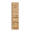 HOCHSCHRANK 40/180/35 cm  - Eiche Wotan/Silberfarben, Natur, Holzwerkstoff/Kunststoff (40/180/35cm) - Xora