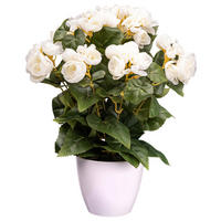 KUNSTPFLANZE 35 cm  - Creme/Grün, Design, Kunststoff (35cm) - P & B
