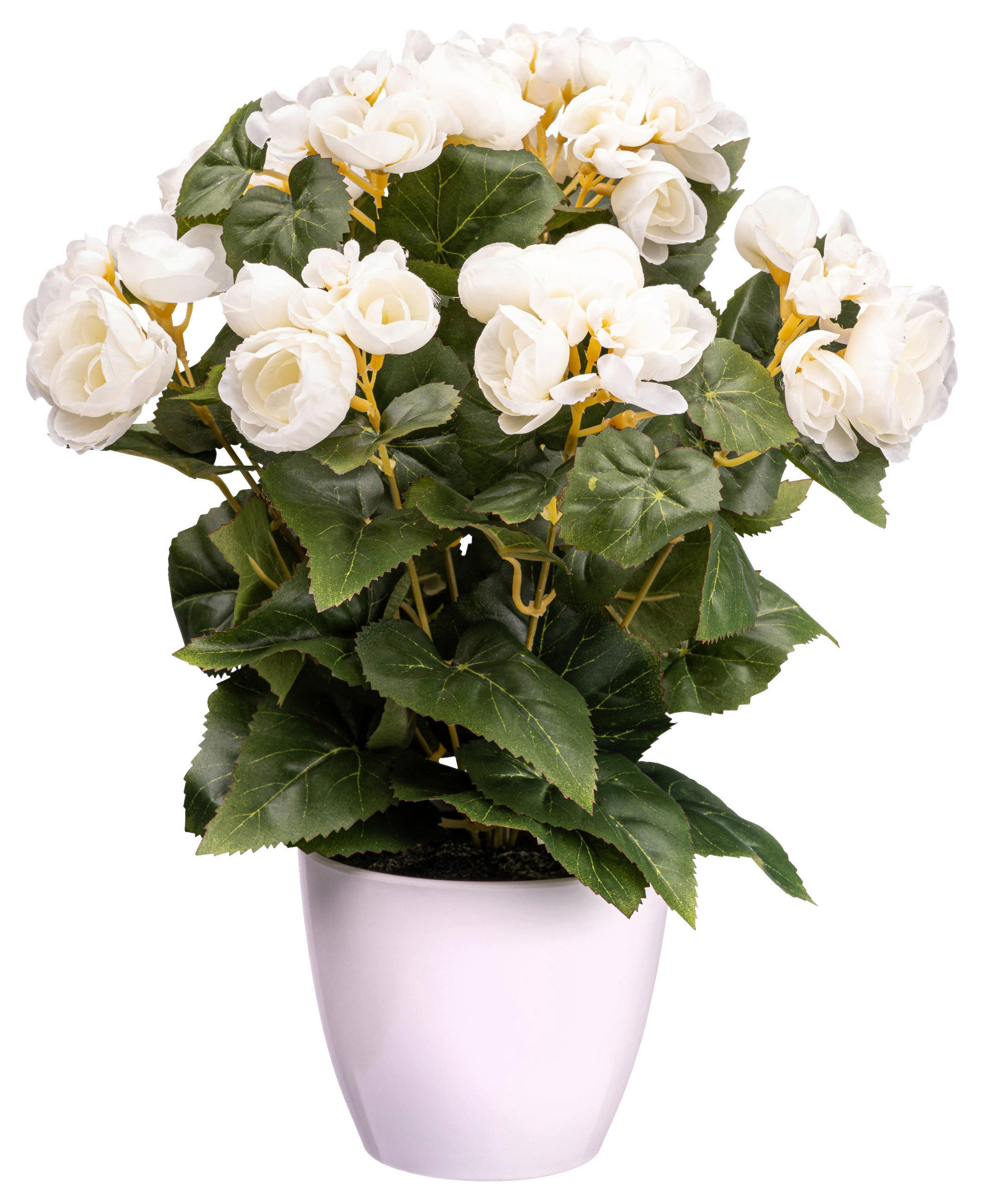 XXXLutz Kunstpflanze Creme, Grün 35 cm