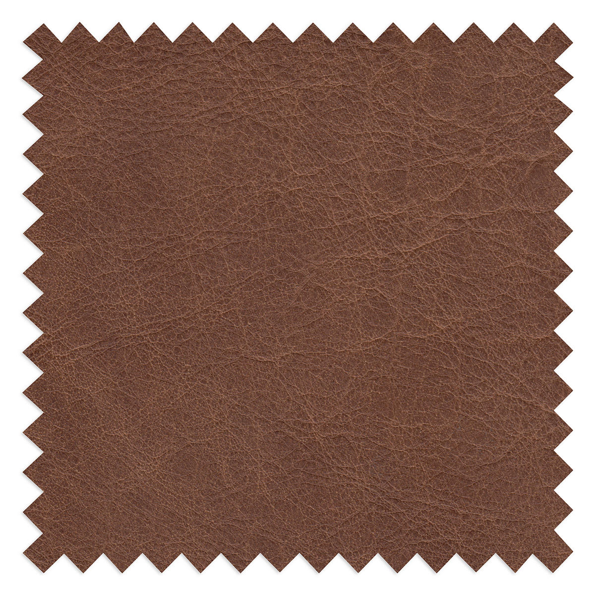 SESSEL in Echtleder Braun  - Schwarz/Braun, Design, Leder/Metall (67/87/74cm) - Livetastic