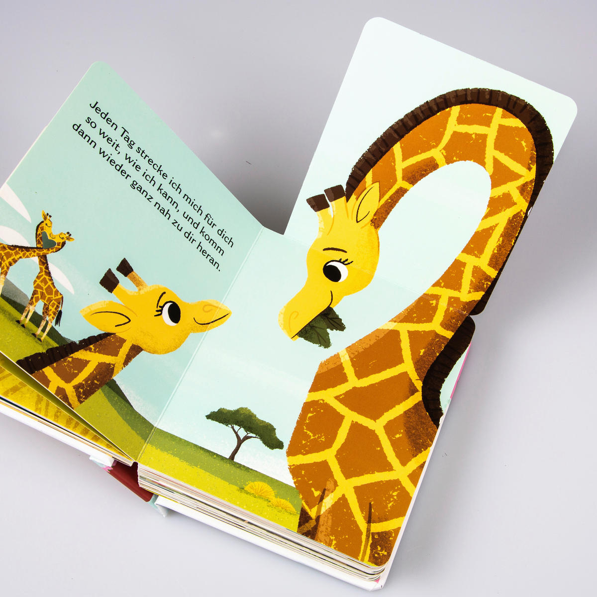 BUCH - Multicolor, Basics, Papier (14/16,5/3,3cm) - Carlsen