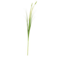 UMELÁ RASTLINA 120 cm - biela/zelená, Basics, kov/plast (120cm) - Ambia Home