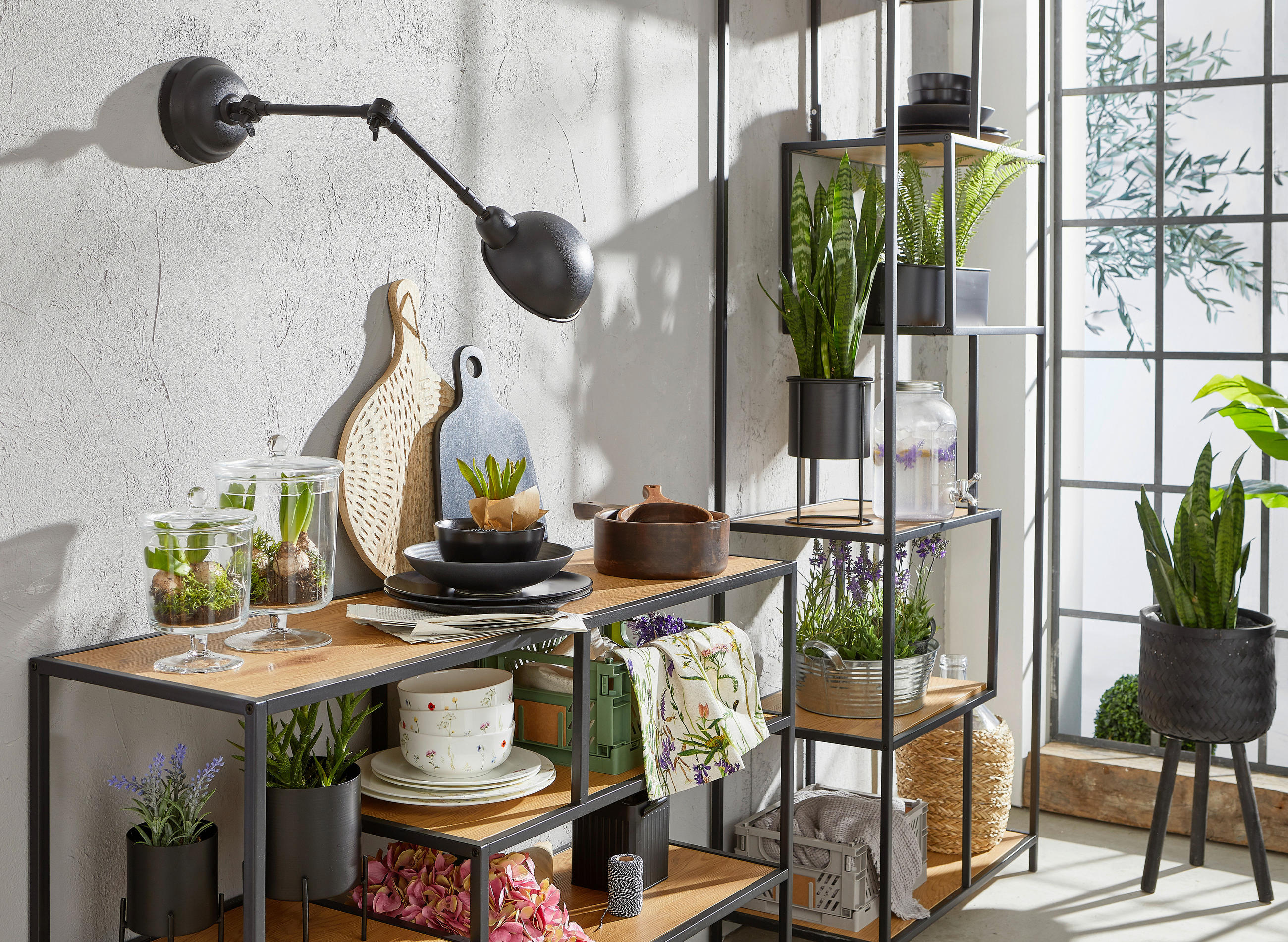 Thumbnail - Leonardo Dose Poesia, Klar, Glas, 24 cm, Ordnen & Aufbewahren, Dosen