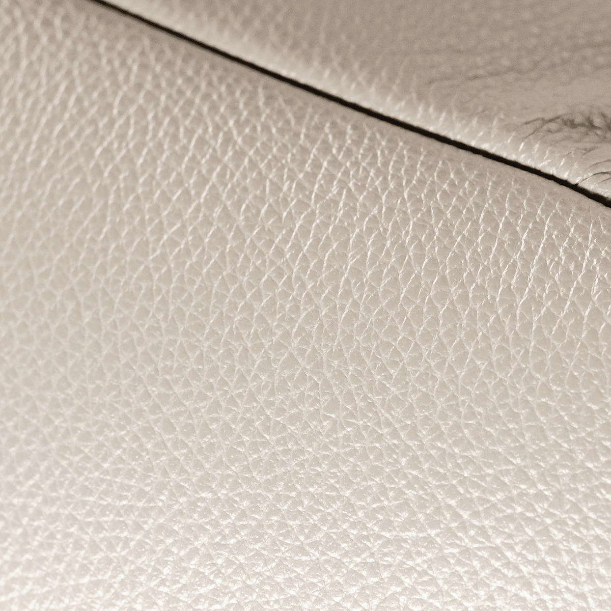 RELAXLIEGE in Echtleder Grau  - Silberfarben/Grau, Design, Leder/Metall (65/65-95/171cm) - Livetastic