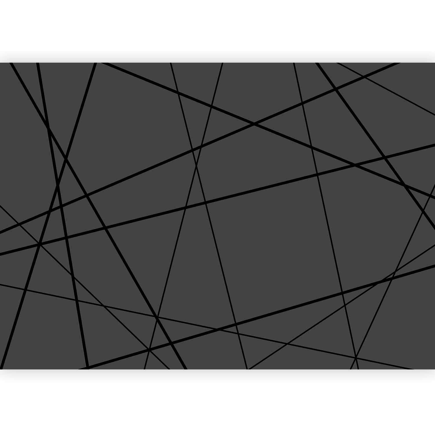 FOTOTAPET 250/175 cm  - antracit, Lifestyle, textil (250/175cm) - Artanova