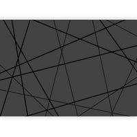 FOTOTAPET 250/175 cm  - antracit, Lifestyle, textil (250/175cm) - Artanova