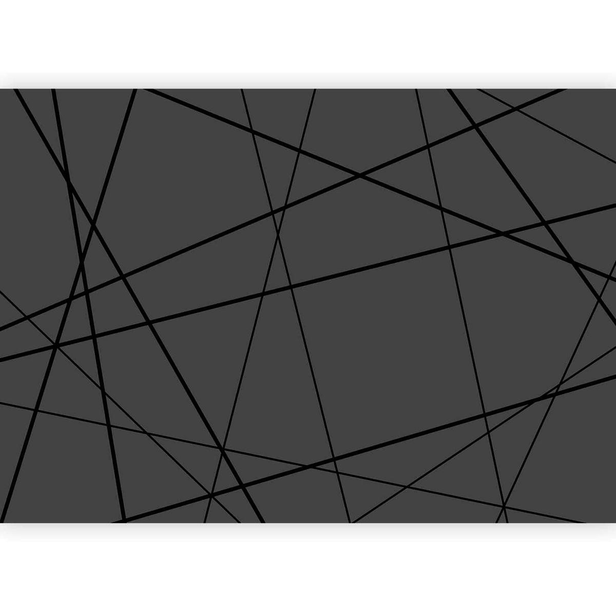 FOTOTAPET 250/175 cm  - antracit, Lifestyle, textil (250/175cm) - Artanova