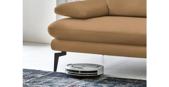 3-SITZER-SOFA in Leder Honig - Schwarz/Honig, Design, Leder/Metall (222/86/104cm) - Dieter Knoll