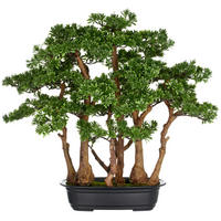 BONSAI Bonsai  - Schwarz/Braun, Basics, Kunststoff (60/60cm) - P & B