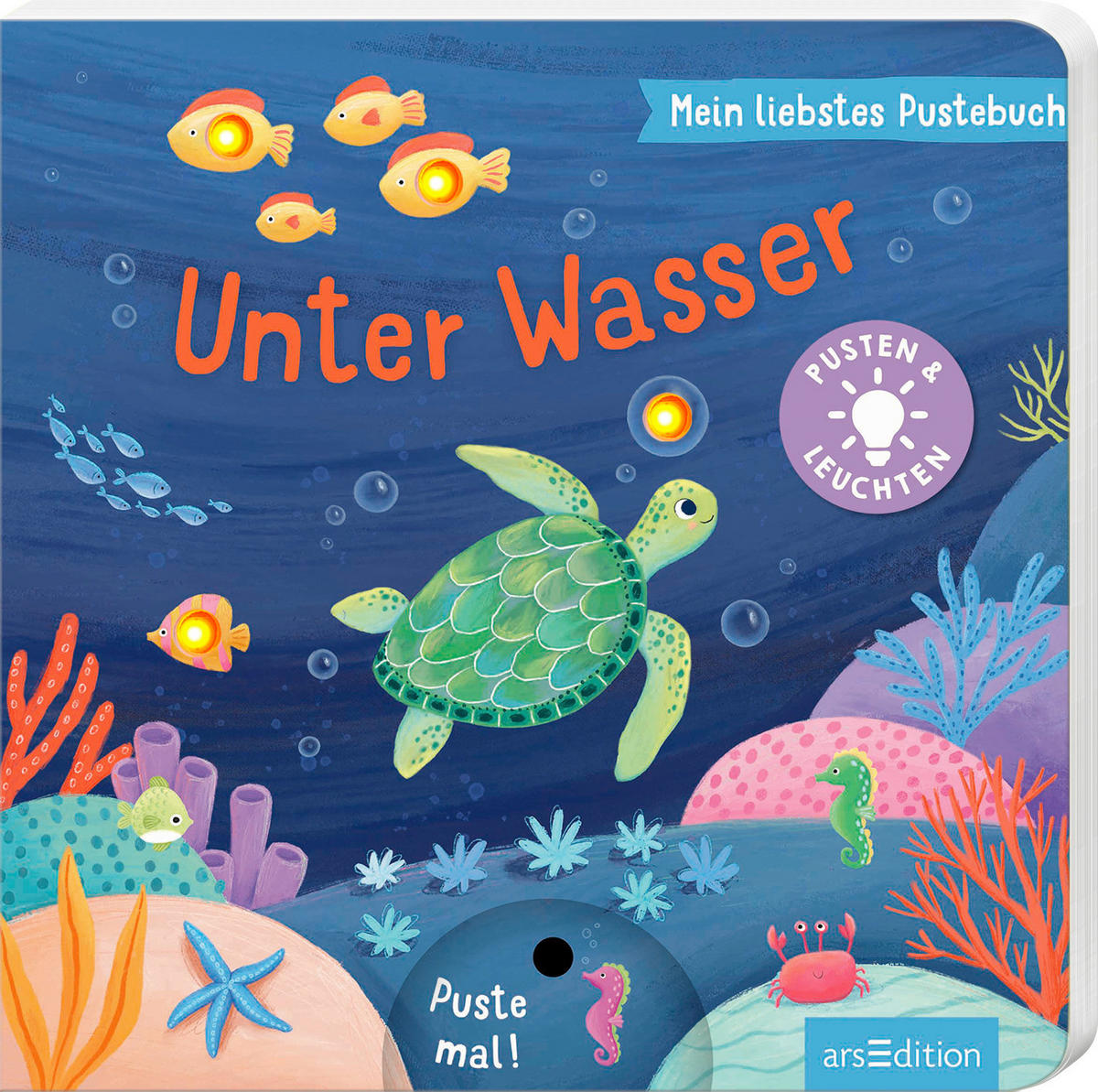 BUCH - Multicolor, Basics, Papier (19,5/19,5/1,6cm)