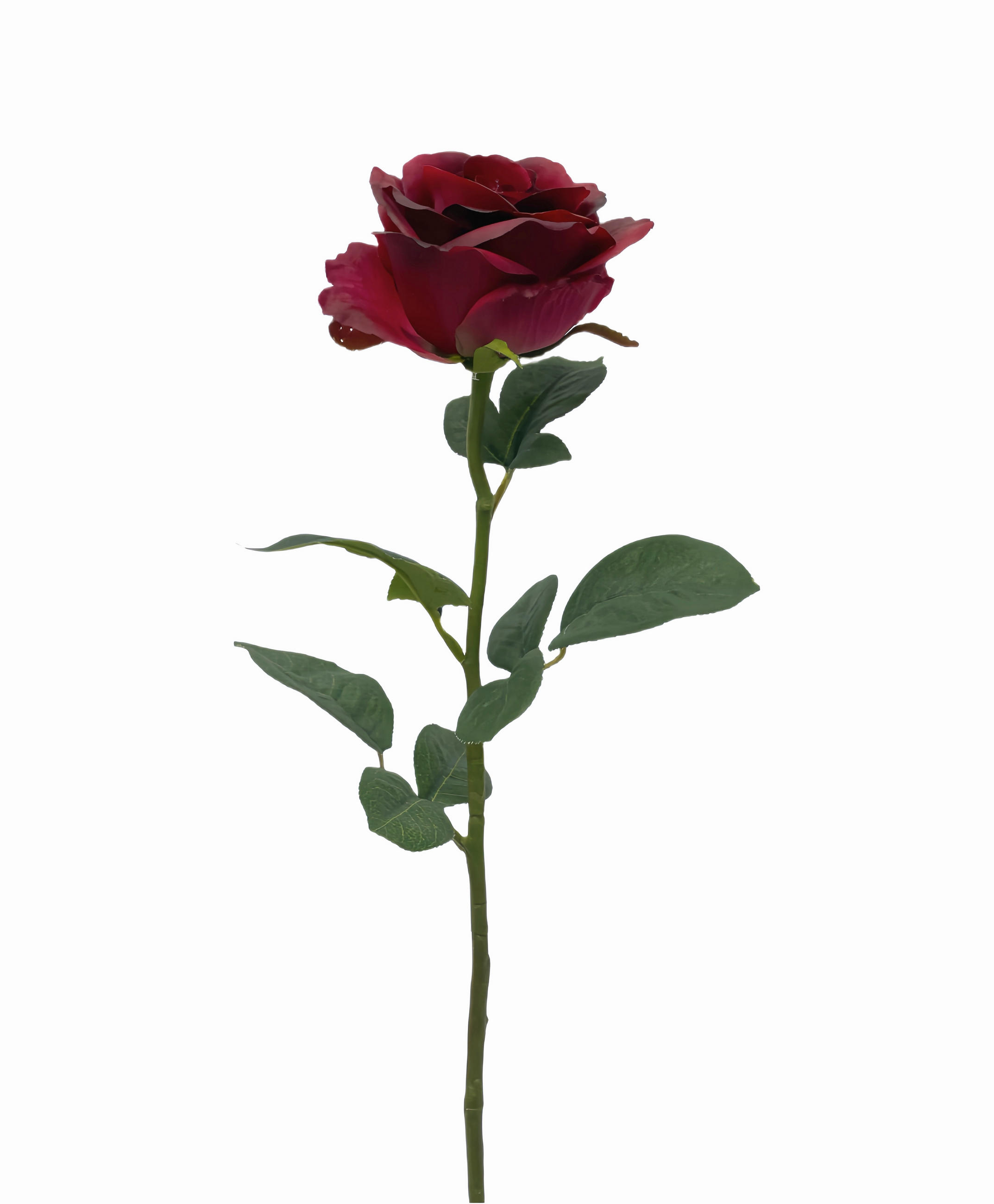 ROSE - Hellrot, LIFESTYLE, Kunststoff (60cm)