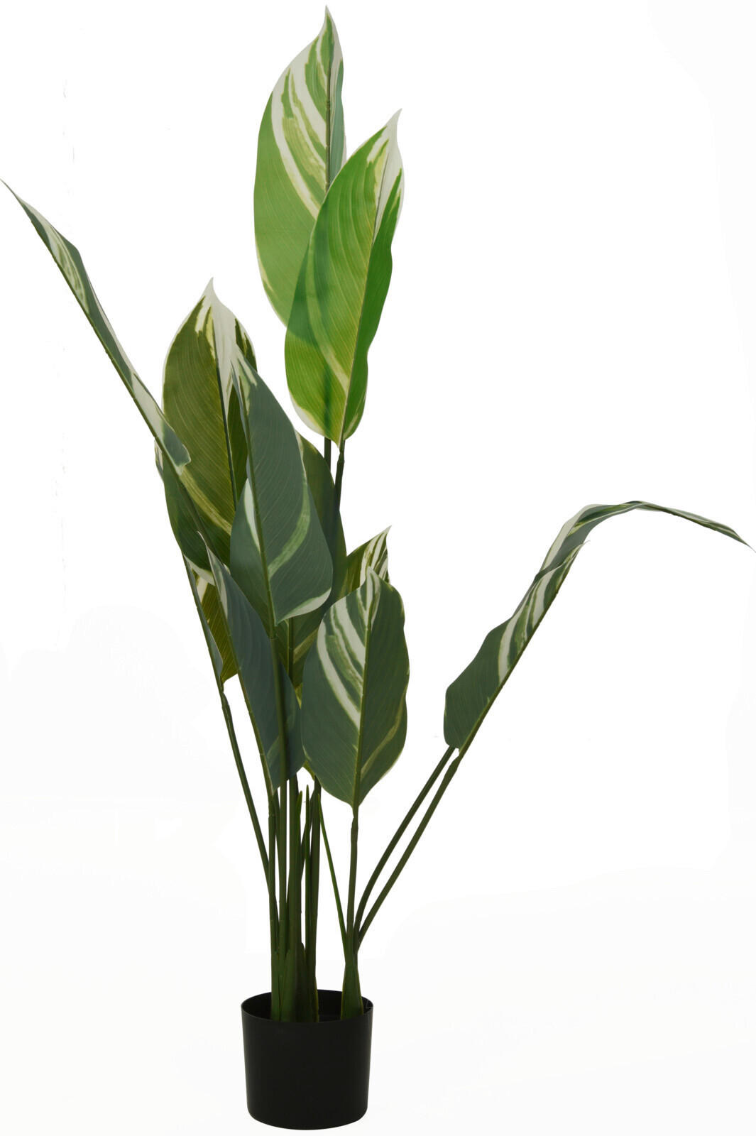 PLANTĂ ARTIFICIALĂ - Basics, plastic (70/70/18cm)