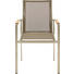 STAPELSESSEL Teakholz Edelstahl Edelstahlfarben, Taupe - Taupe/Edelstahlfarben, Design, Holz/Textil (57/91/49cm)