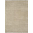 WEBTEPPICH 240/340 cm Beige  - Beige, Basics, Textil (240/340cm) - Novel