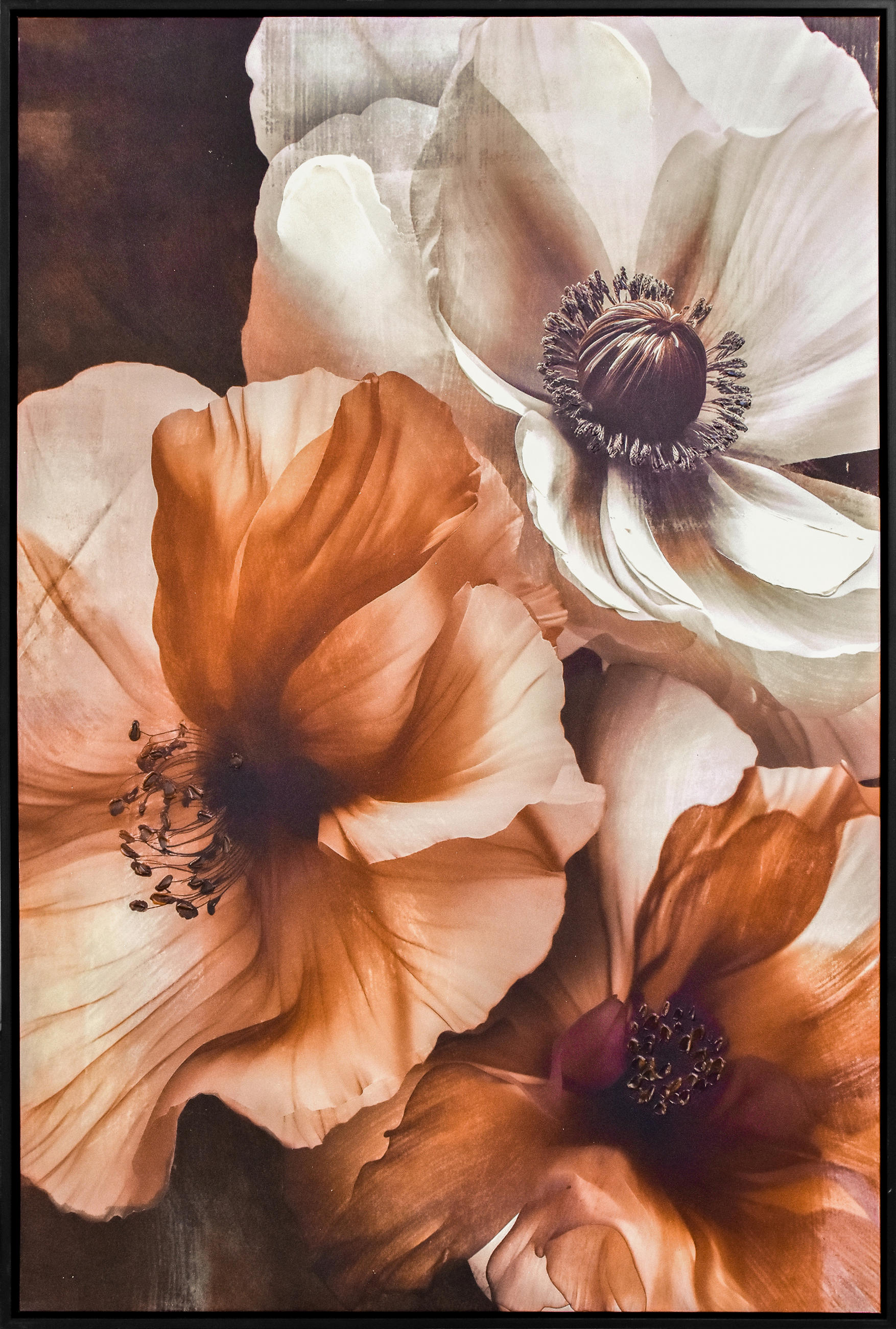 BILD Blumen 80/120 cm  - Wengefarben/Braun, LIFESTYLE, Holzwerkstoff/Kunststoff (80/120cm) - Monee