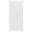 DREHTÜRENSCHRANK 101/235/61 cm,  in Weiß, 2-türig  - Weiß, Basics, Holzwerkstoff/Metall (101/235/61cm) - Novel