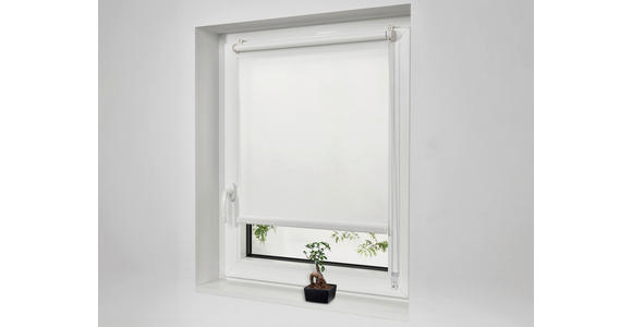 ROLLO 100/160 cm  - Weiß, Design, Kunststoff (100/160cm) - Boxxx