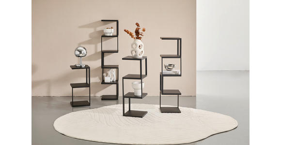 REGAL  25/72/25 cm Schwarz  - Schwarz, Basics, Metall (25/72/25cm) - Carryhome