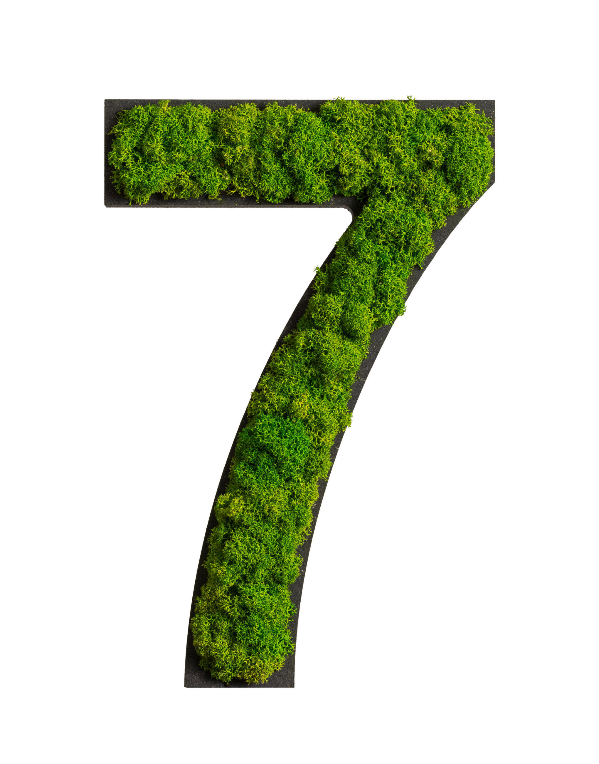 StyleGREEN MECHOVÝ OBRAZ