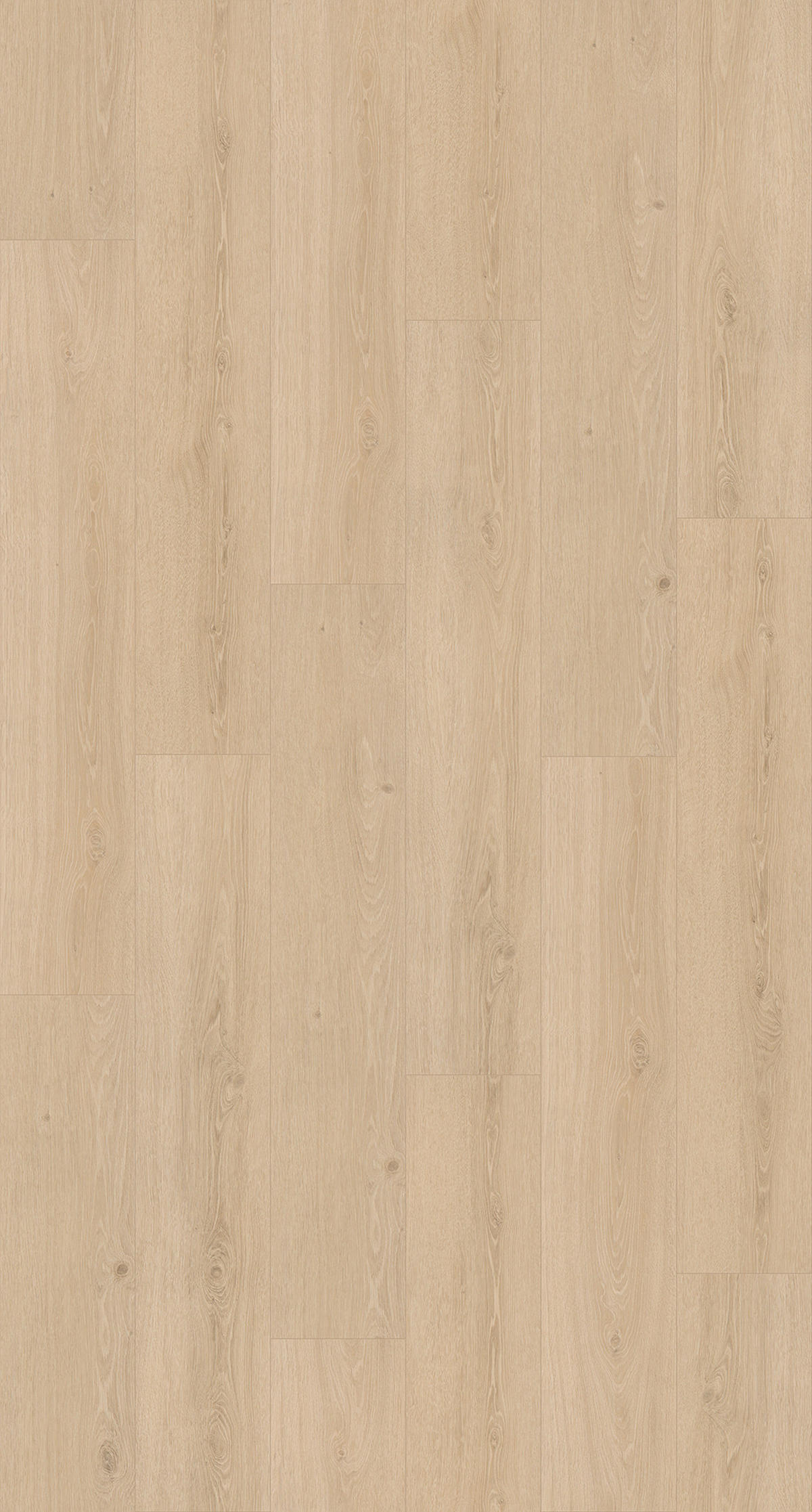 DESIGNBODEN  per  m² - Hellbraun/Eichefarben, Basics, Kunststoff (120,9/22,5/0,53cm) - Parador