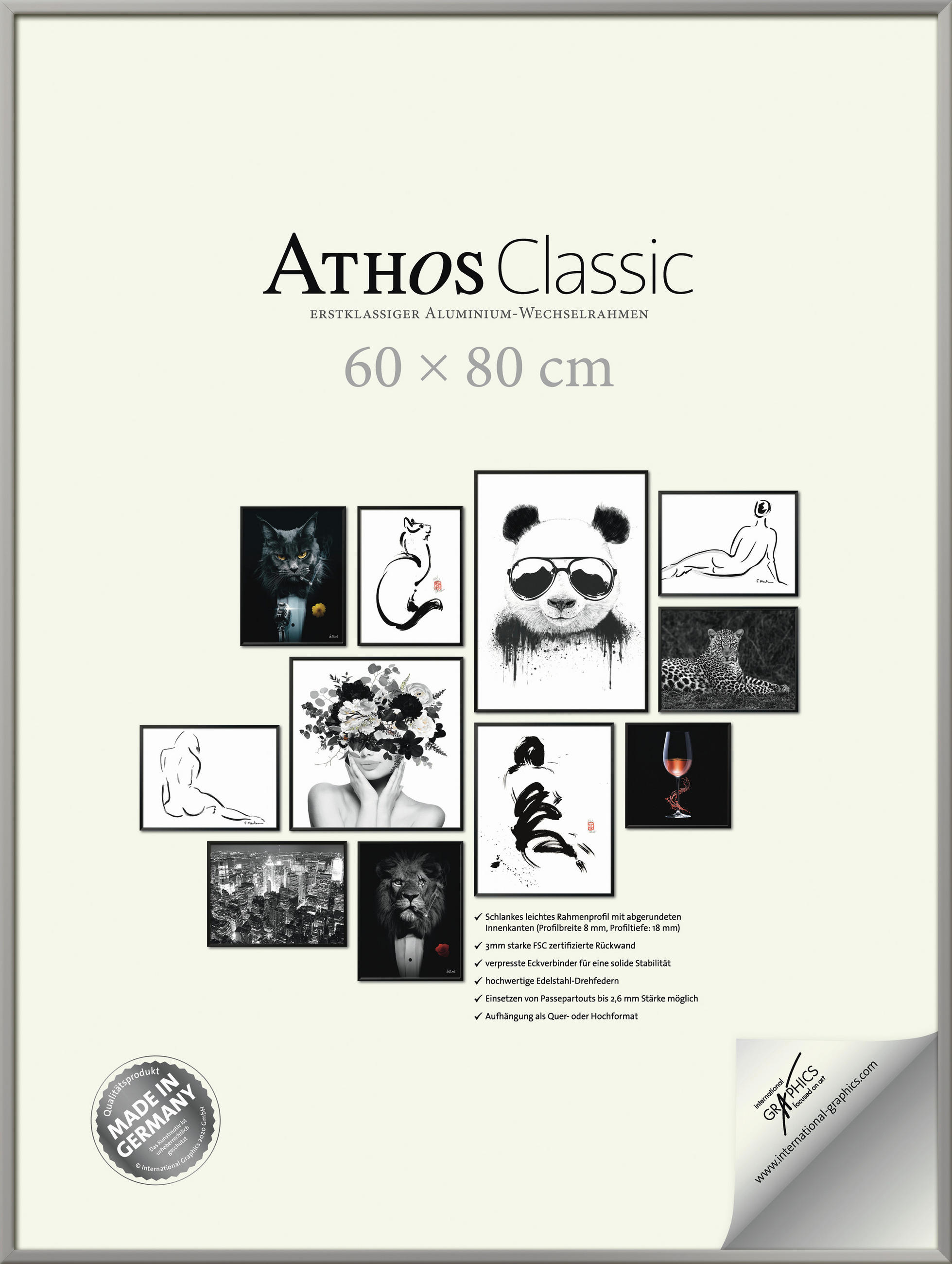 BILDERRAHMEN - Silberfarben, Basics, Papier/Holzwerkstoff (60/80/1,8cm)