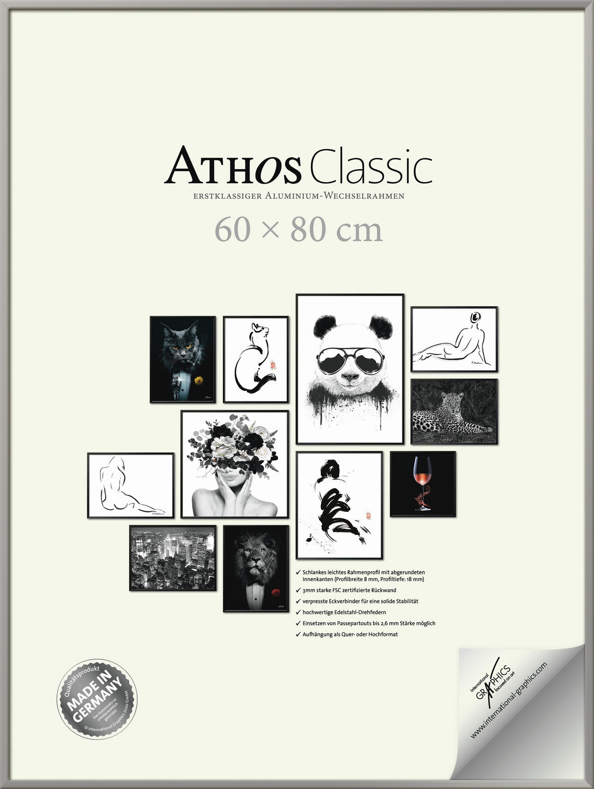 BILDERRAHMEN - Silberfarben, Basics, Papier/Holzwerkstoff (60/80/1,8cm)