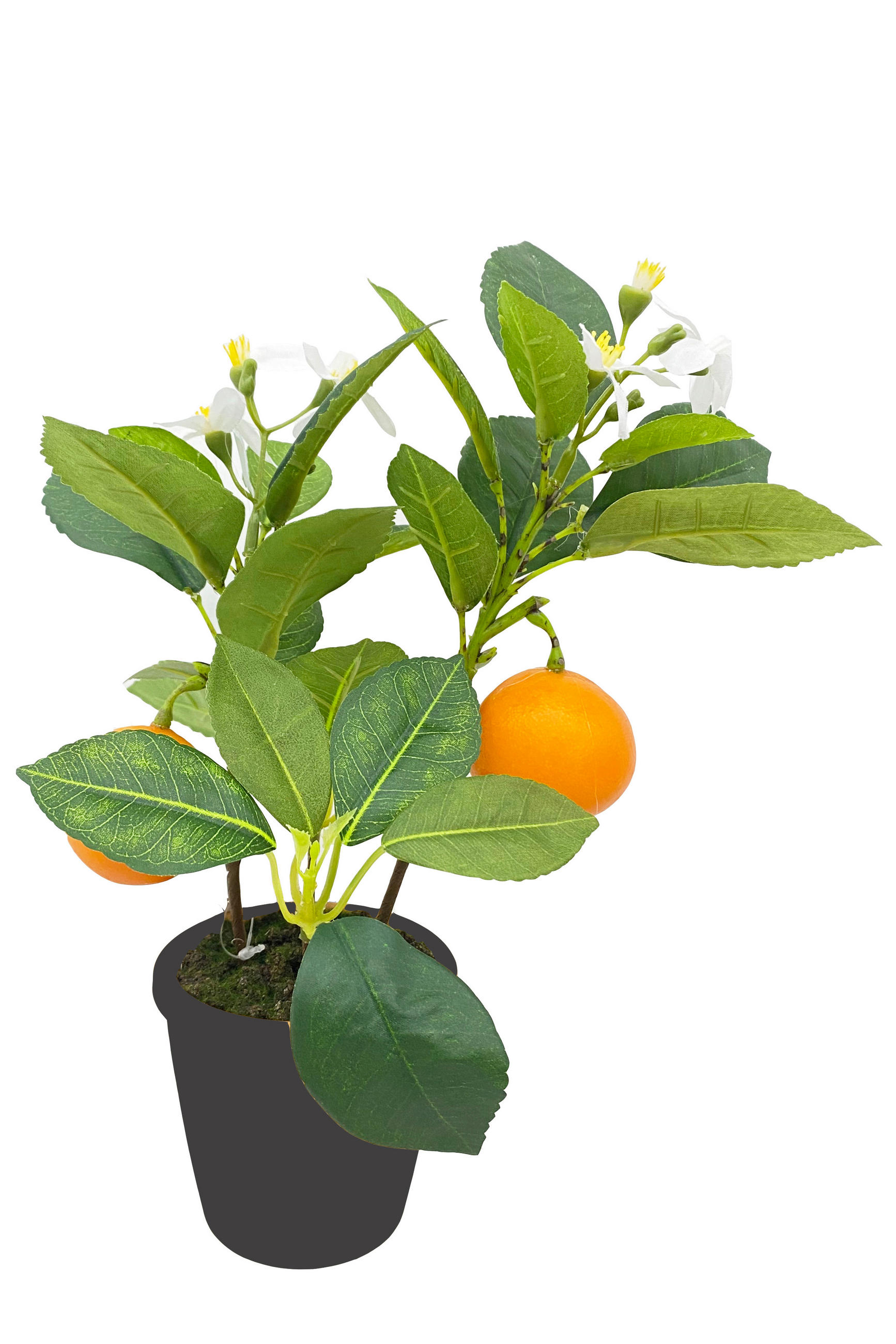 POMARANČEVEC - črna/zelena, Basics, kovina/umetna masa (32cm) - Ambia Home